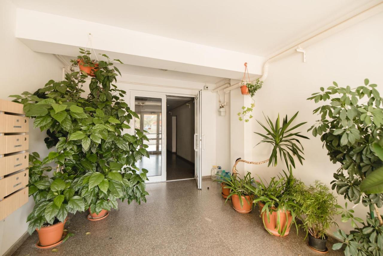 Oltului Apartment Braşov Extérieur photo